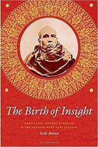 The Birth of Insight cover